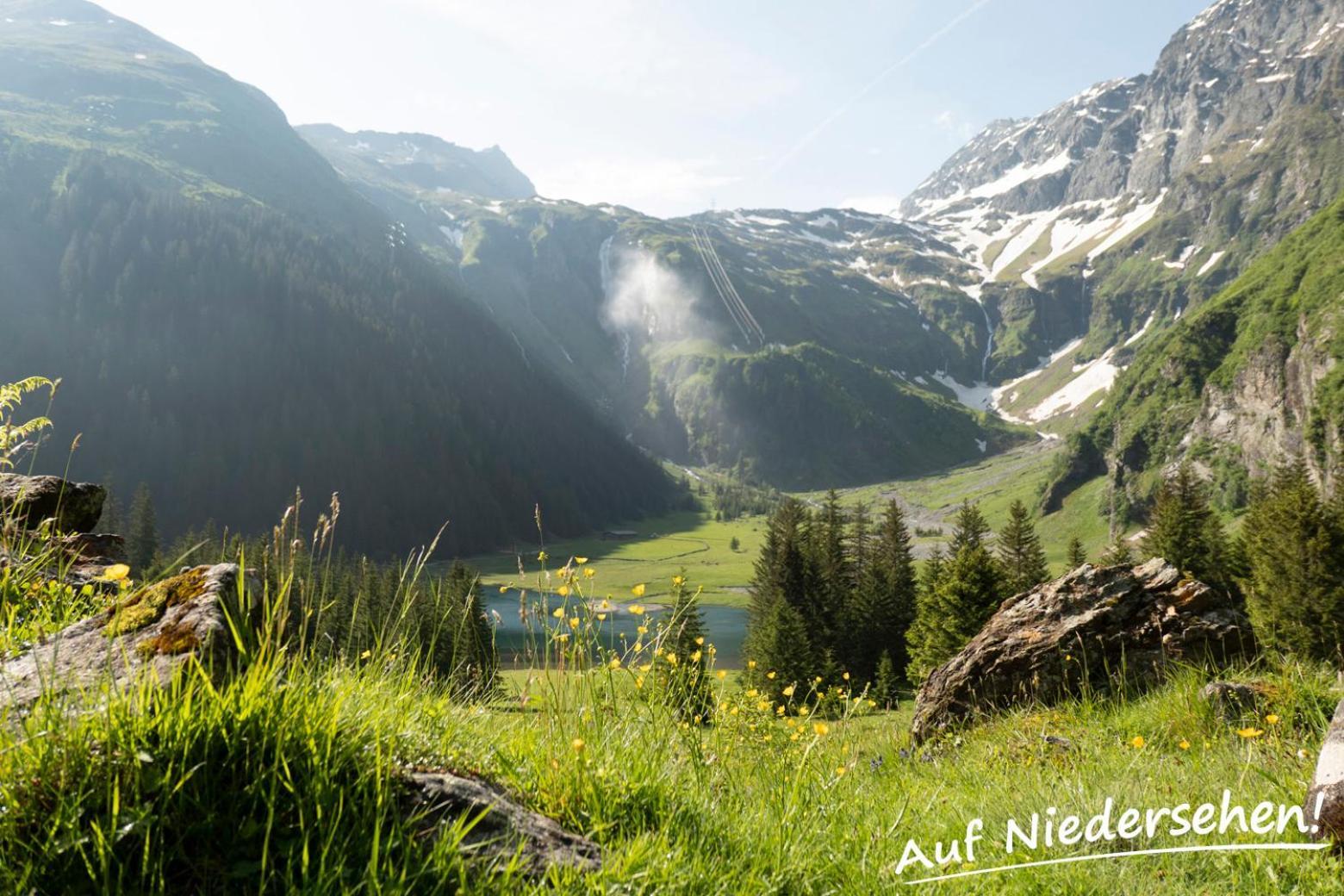 Ferienwohnung Auf Niedersehen - 8 Personen - Kitzbuehler Alpen - Hoehe Tauern Np Холлерсбах  Экстерьер фото